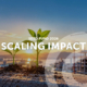 cover for the Seed fund 2026: Scaling Impact: seed growing into plant stages with a construction site on the side